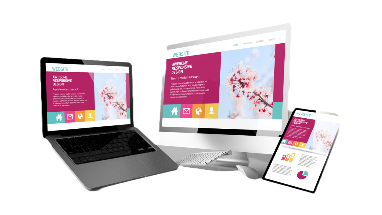 Web Design & Development